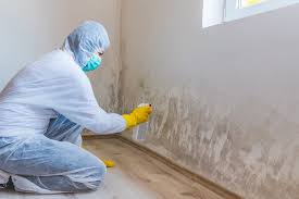 Best Water Damage & Mold Remediation  in Loxahatchee Groves, FL