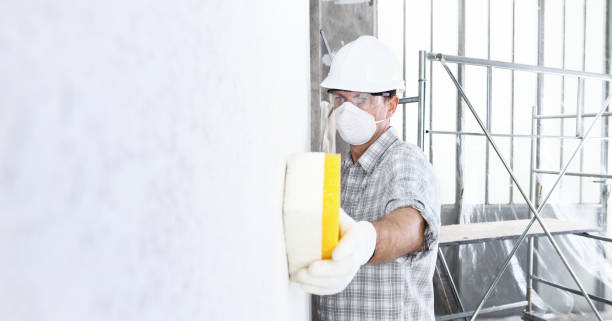 Best Mold Odor Removal Services  in Loxahatchee Groves, FL