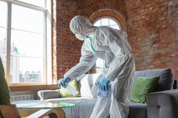 Trusted Loxahatchee Groves, FL Mold Removal Services Experts