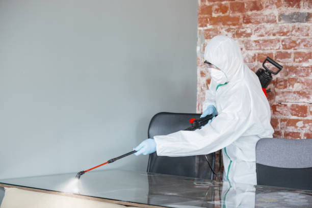 Best Crawl Space Mold Remediation  in Loxahatchee Groves, FL