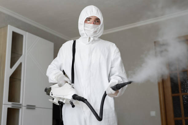 Best Basement Mold Removal  in Loxahatchee Groves, FL