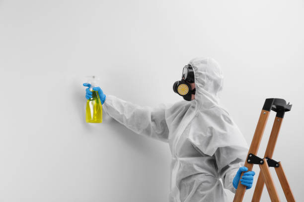 Best Biohazard Mold Removal  in Loxahatchee Groves, FL