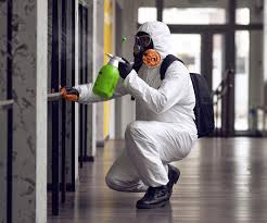 Why You Should Choose Our Mold Remediation Services in Loxahatchee Groves, FL